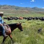 Butch Jensen, Tavaputs Ranch, eastern Utah.