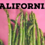 245E3119-8564-43C8-8B55C761E7F06B33.jpg