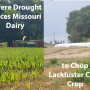 Missouri dairy farm