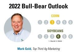 Mark Gold