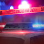 For the second time in less than a year, a couple in Louisiana has been arrested for fraudulent sales of cattle.