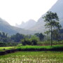 chinese_landscape