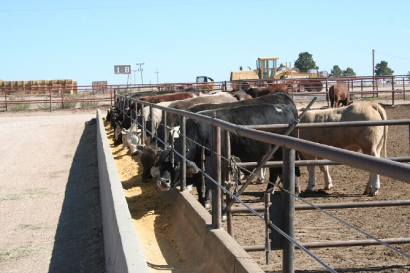 FDA reissued the release, with added text to emphasize that monensin is safe for use in cattle and goats, and that “meat from cows and goats and milk from cows treated with Monovet 90 are safe for people to consume."