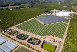 Limoneira solar installations