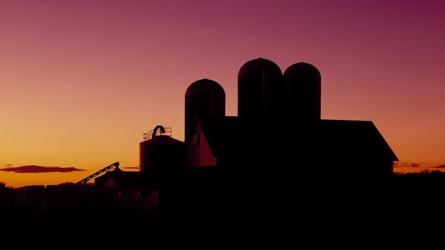 Not All Farm Loss Comes With a Funeral