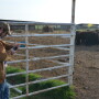 BT_Young_Producer_Smart_Phone_Cattle
