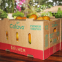 calavo