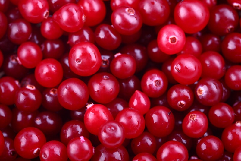 A pile of cranberries fills the image.