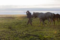 New grassland restoration project
