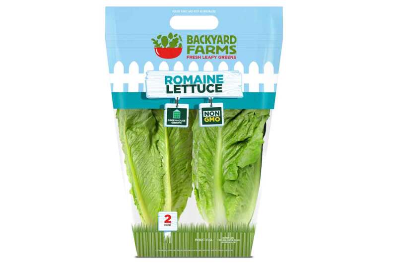 Backyard Farms romaine