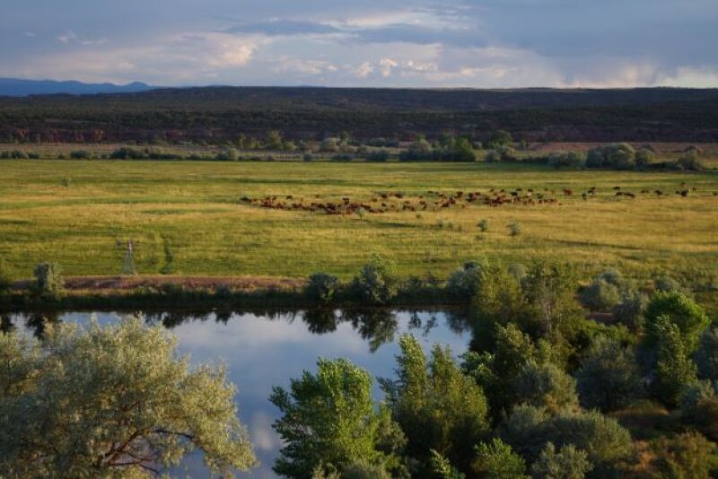 Myrin Ranch