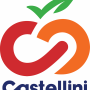 Castellini_Logo_BETTER web.png