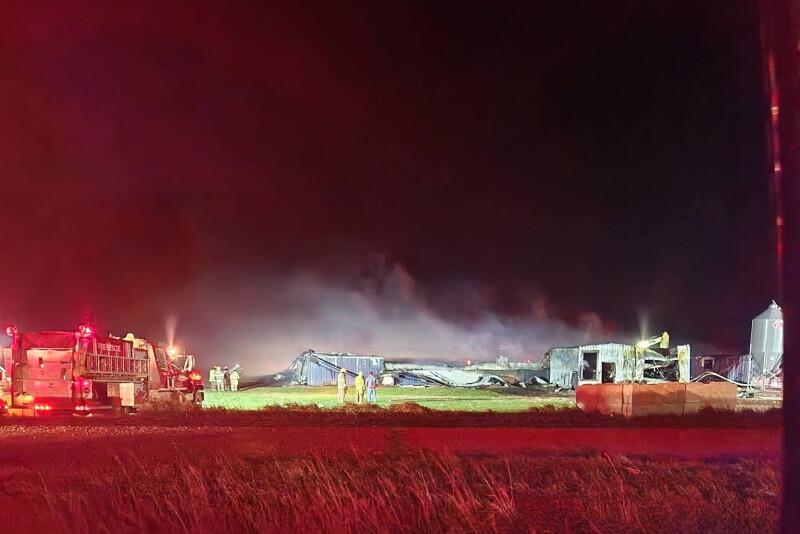 Pigs Injuries Barn Fire Kills 2,400 Pigs in Northwest Iowa - Pork Business