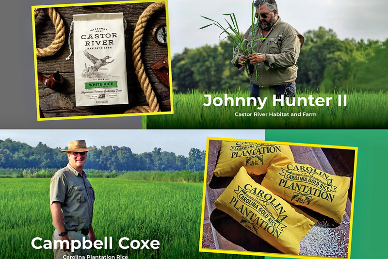 Castor Rice Risk and Reward: How These Farms Found Success With Vertical ...