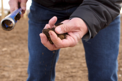 Domex Superfresh Growers' chief horticulturist Dave Gleason discusses the importance of soil health in the latest Orchard Update.