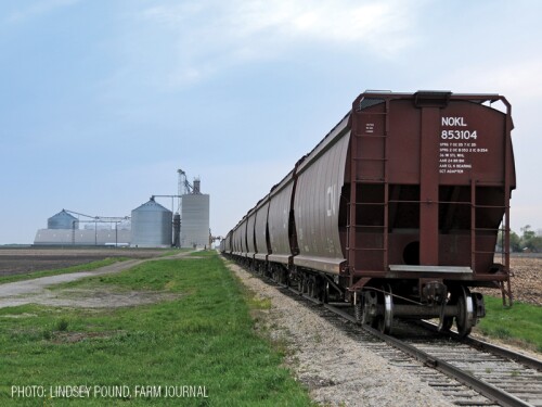 Railroad-Train-By-Lindsey-Pound