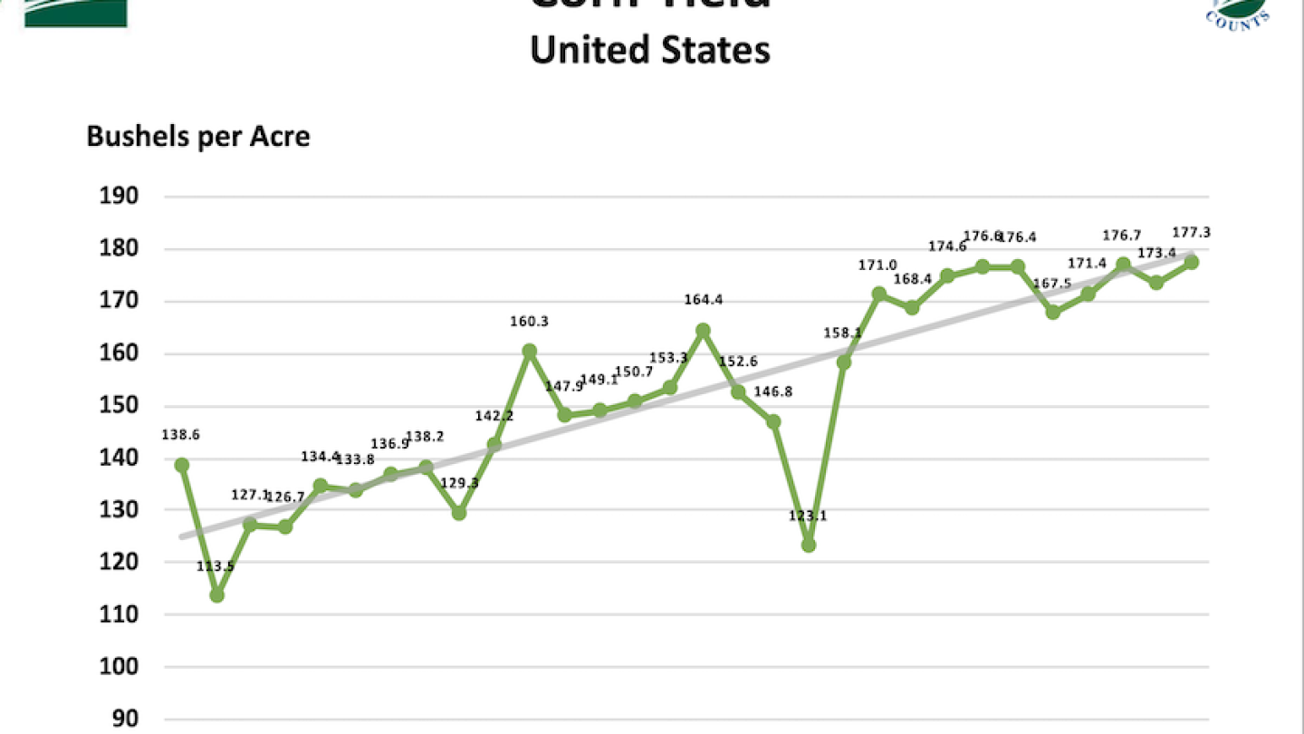 Where Do Corn and Soybean Prices Go Now After USDA’s Yield Shock? - AgWeb