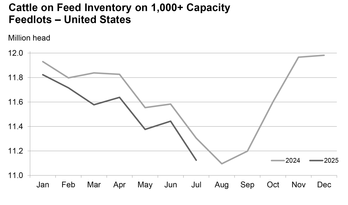 USDA Cattle on Feed Bullish, Inventory Report Confirms Record Low Herd ...