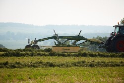 Krone_Rake