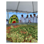 Earlier this year, Avocados from Peru partnered with the New York Jets and making the world’s largest bowl of guacamole.