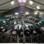 DairyProQ_Germany