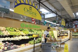  A new Rabobank study said growers should use caution in how fast they expand organic production of fruits and vegetables.