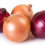 Four onions on a white background