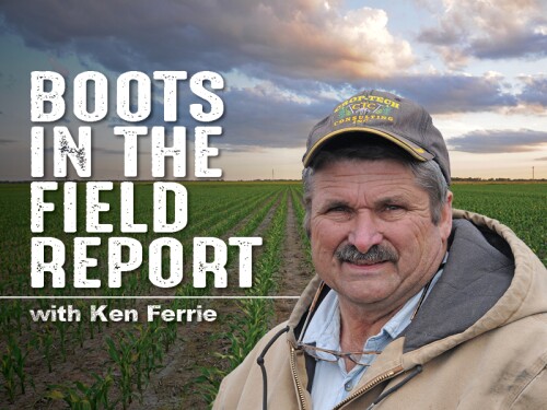 Boots in the Field -- Ken Ferrie