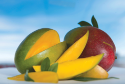 Morning Kiss Organic has a year-round mango program.