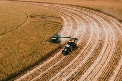 BASF Plant Health Goes Beyond Disease Control