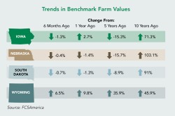 Values declined an average of 0.59% in the first six months of 2019 for the 64 benchmark farms FCSAmerica monitors in Iowa, Nebraska, South Dakota and Wyoming.