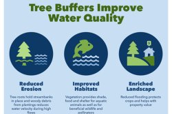 Tree-Buffers-Water-Quality.png
