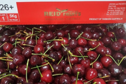 united apple sales import cherries