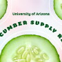 Cucumber report