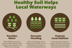 Healthy Soil Matters.png