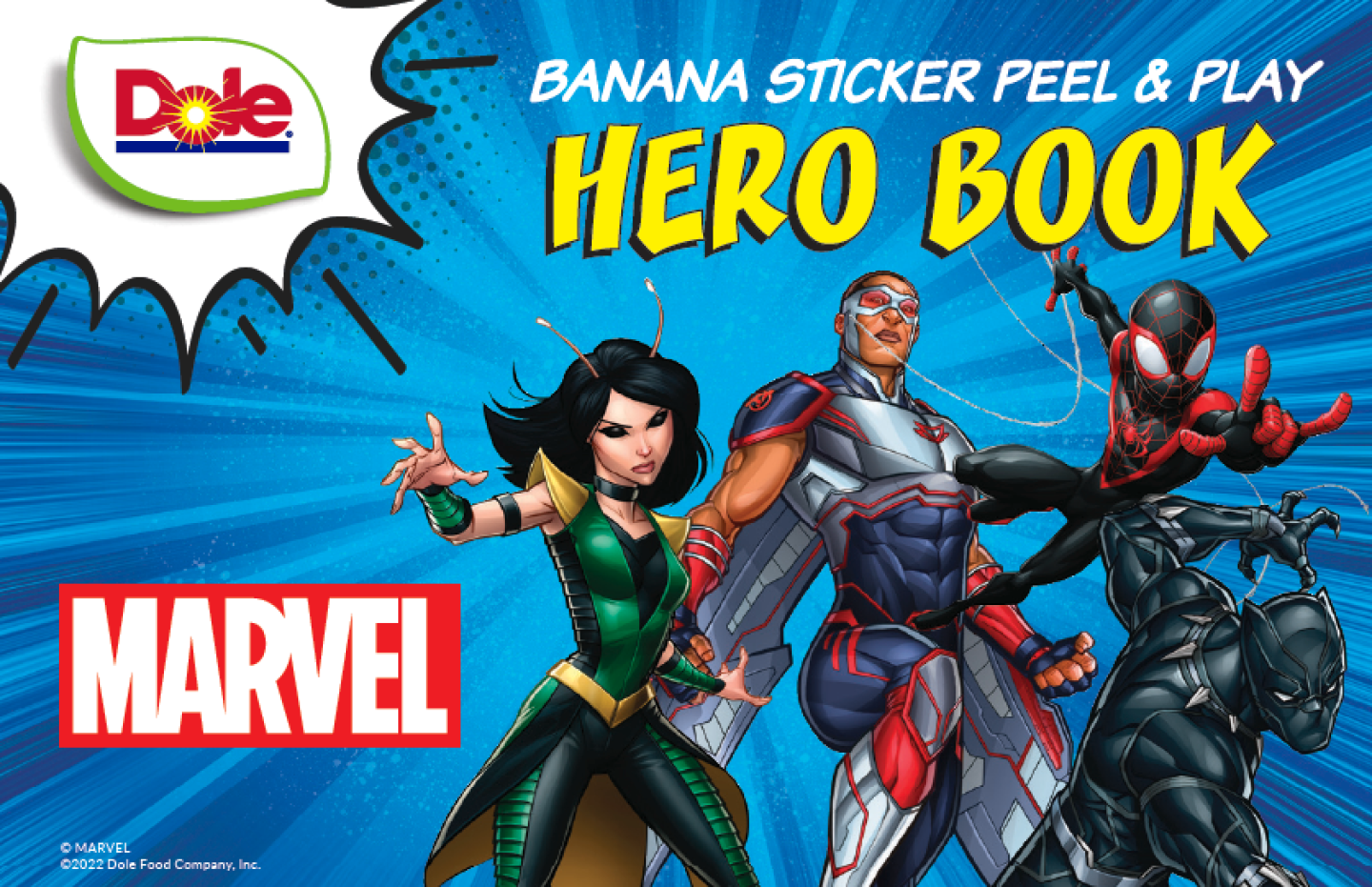 hero%20book%20cover%20-dole.png