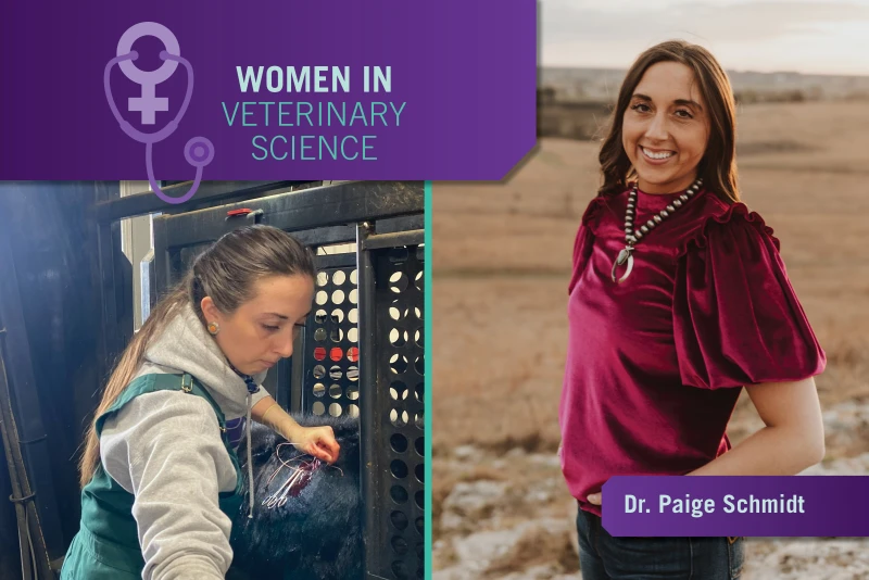 Dr. Paige Schmidt collage