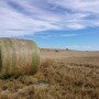 Hay Bale