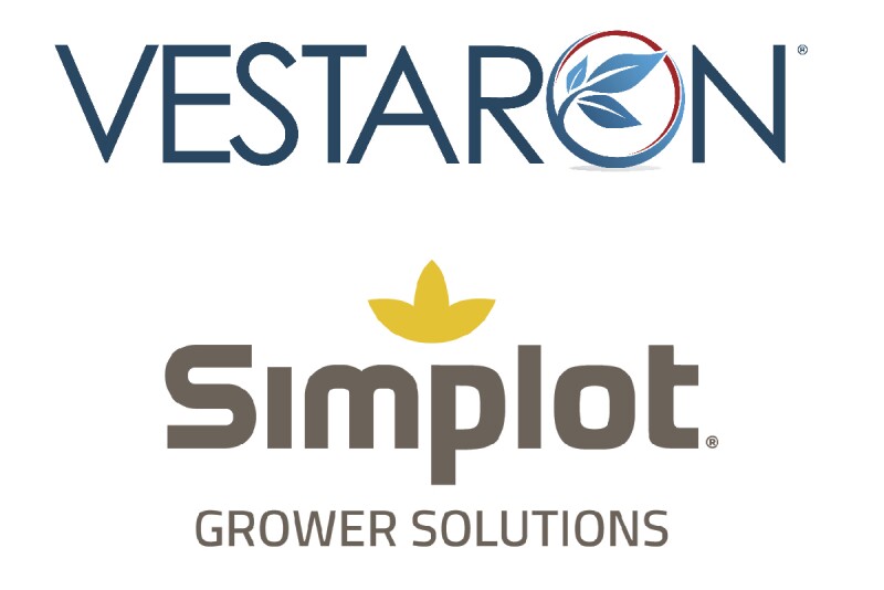 Vestaron and SImplot-01.jpg