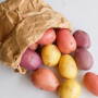 Potatoes-USA-podcast-2.jpg
