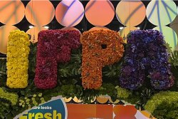 IPFA-Flower-garden.jpg