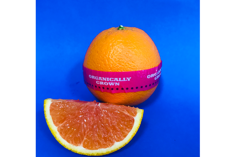 E56C7A4E-31FF-4798-A4A497F469A1CA05.png