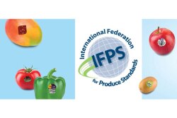 ipfs.JPG