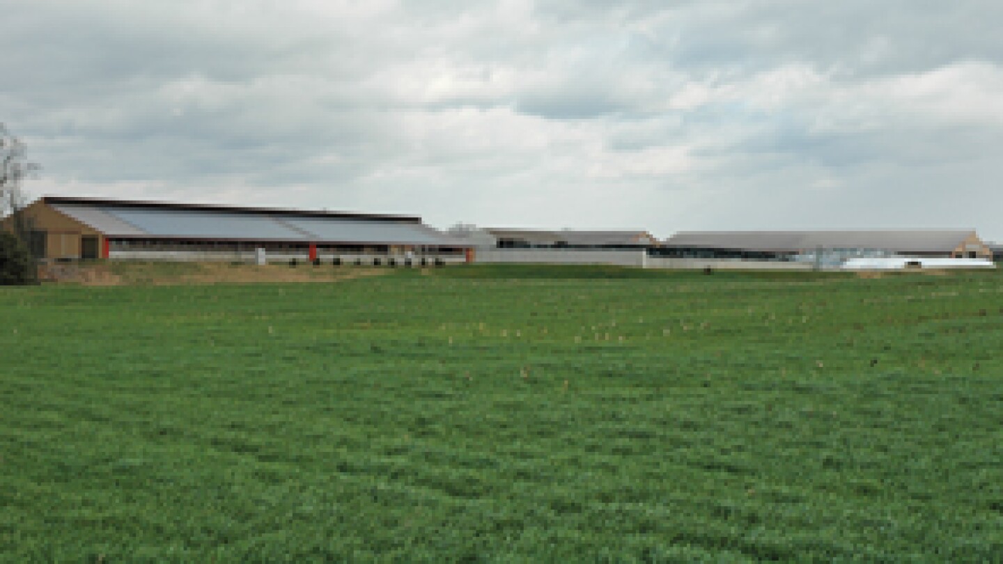 D11004c.jpg