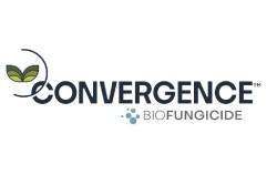ConvergenceLogo-01.jpg