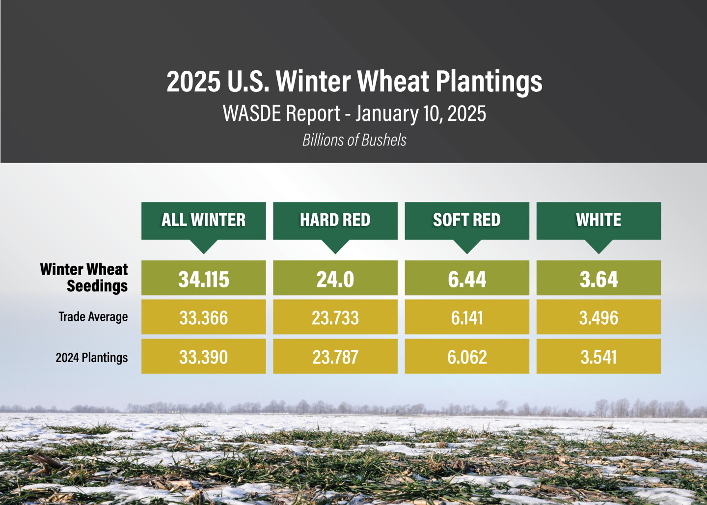Fall Wheat 10 Charts to Help Understand the January Data Dump From USDA - AgWeb