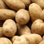 The USDA has appointed members the board that oversees research and promotion efforts.