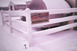 snowy dairy farm