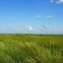 Cedar Vale Ranch