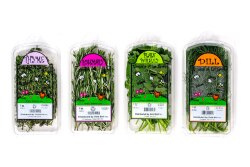  Morning Kiss Organics herbs